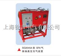 SF6气体抽真空充气装置 SG2030型