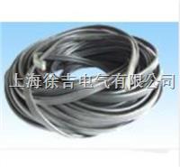 (3×2.5mm2×1)测试导线 ]