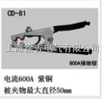 CD-81型测试钳