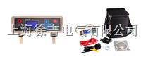 ETCR3600-智能型等电位测试仪
