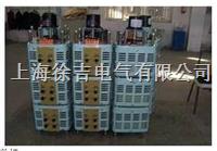 TESGC2 型系列三相电动调压器