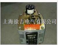 TEDGC2 型系列单相电动调压器