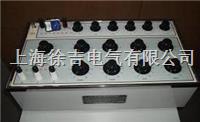 ZX79D+ 兆欧表标准电阻器