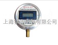 FCM-20（2）/4直流泄漏电流表